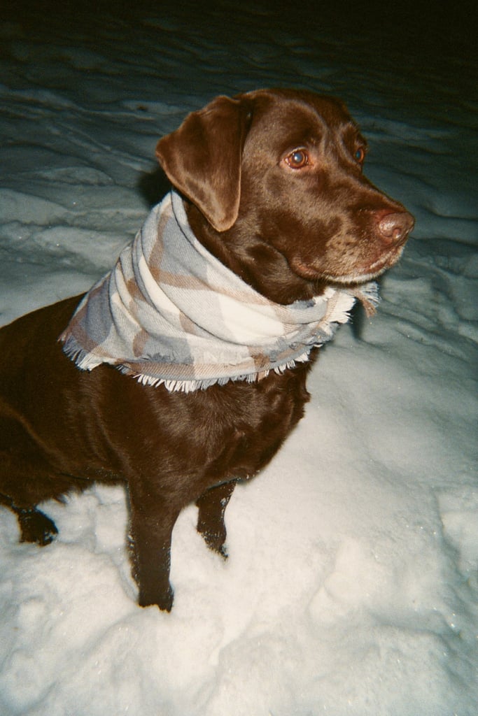 Plaid Blanket