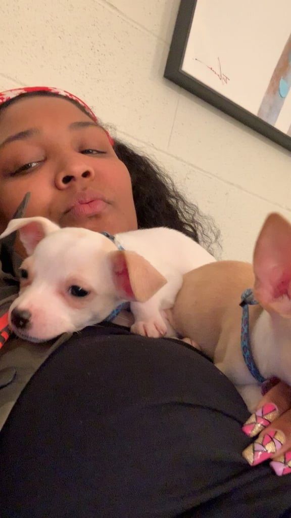 Lizzo's Crew Member Adopts a Rescue Puppy While on Tour
