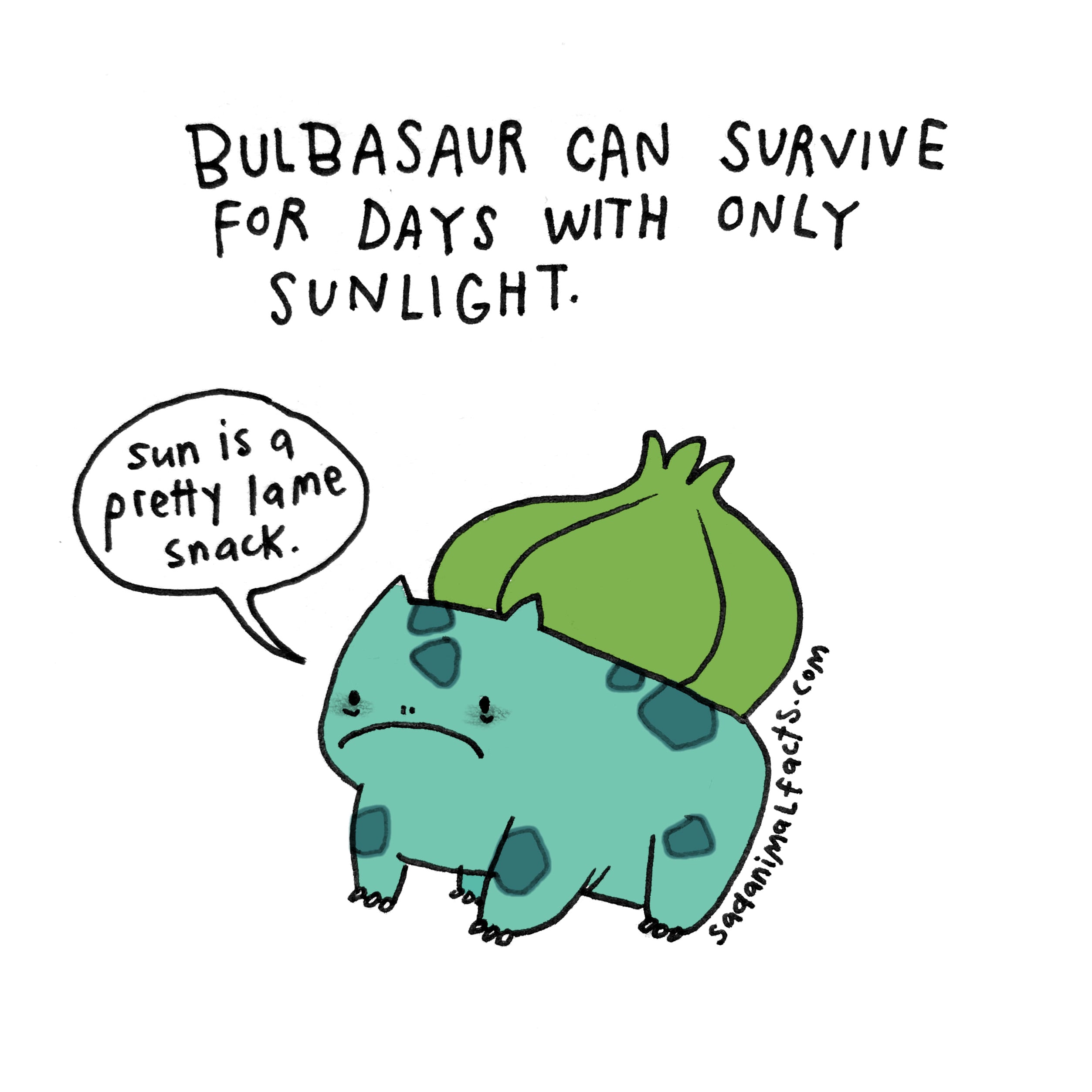 Fun Facts About Bulbasaur