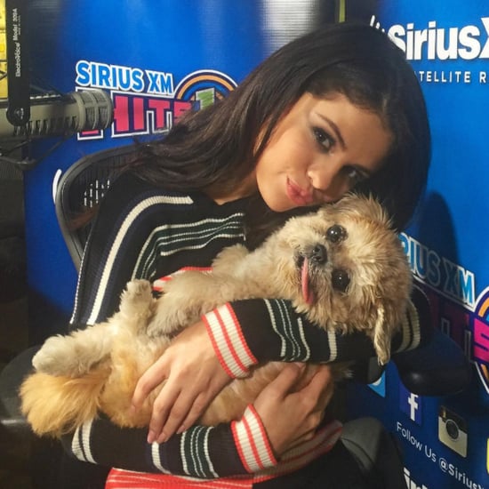 Marnie the Dog With Celebrities on Instagram