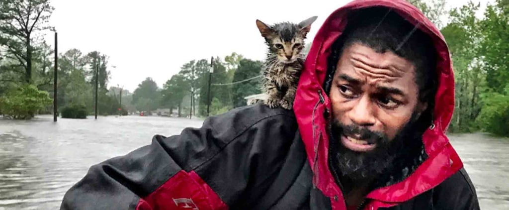 Photo of Man Rescuing a Kitten During Hurricane Florence