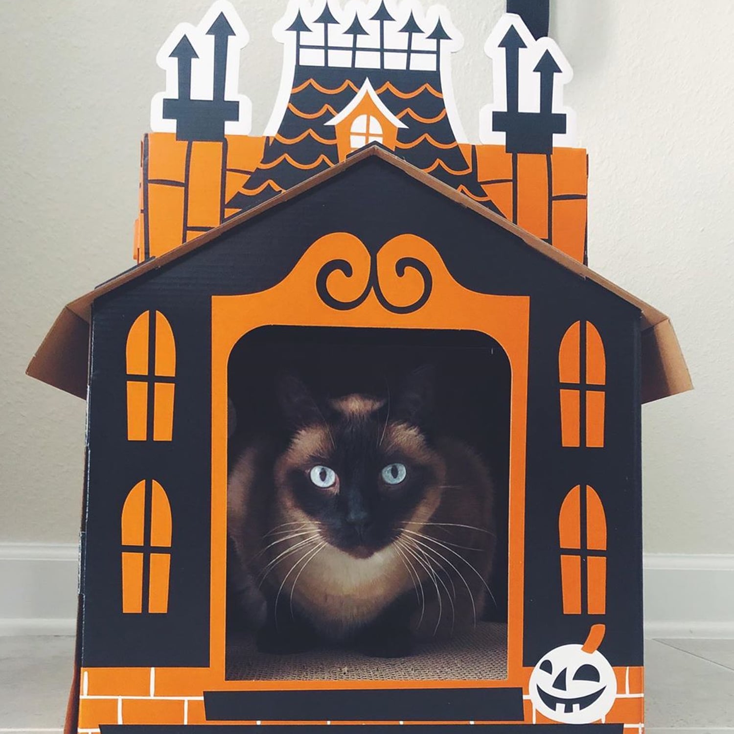 halloween cardboard cat house