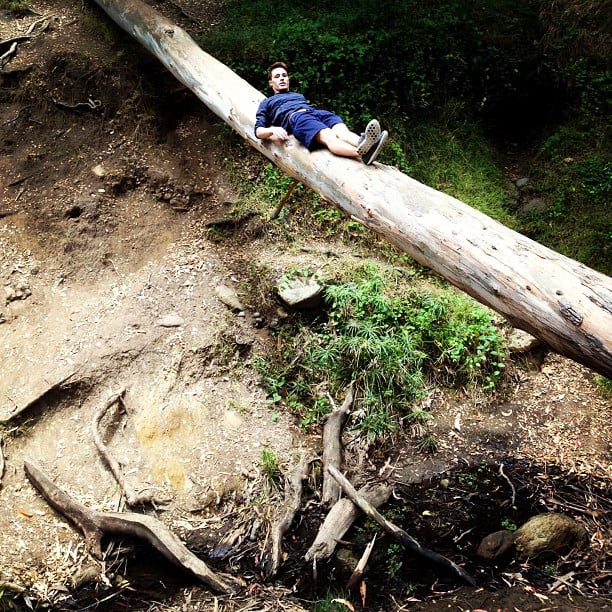 This Gigantic Fallen Tree