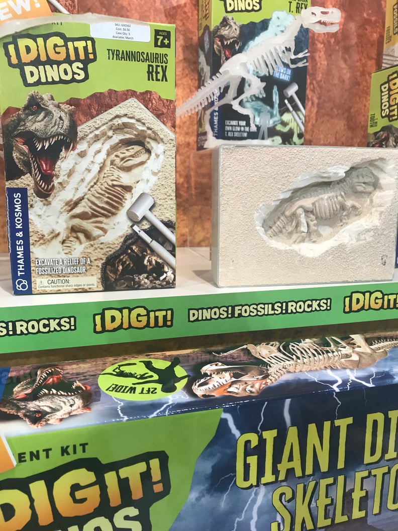 Thames & Kosmos T. Rex Excavation Kit