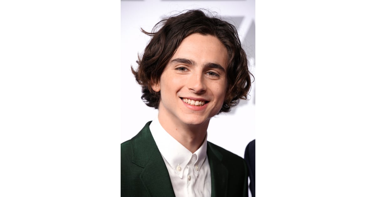 timothee chalamet pop funko