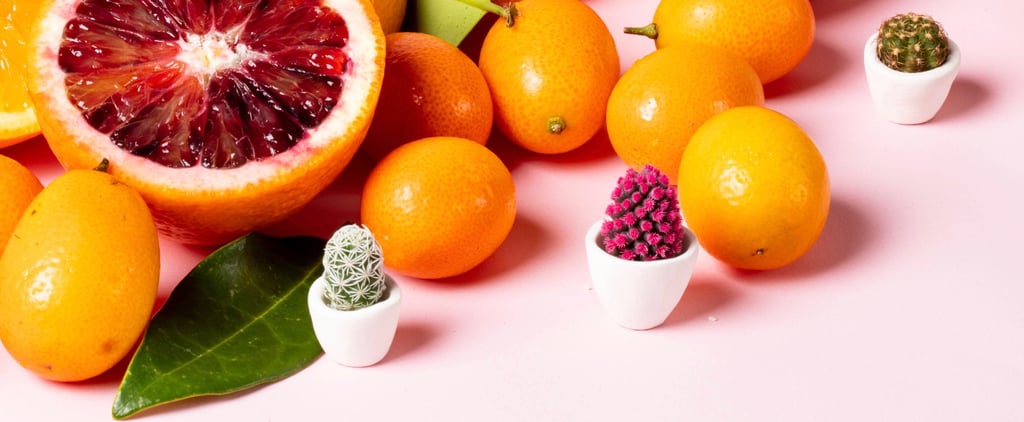 Micro Succulents Are a Thing, and WOW, Are They Cute