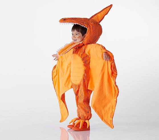 Toddler Light Up Pterodactyl Costume