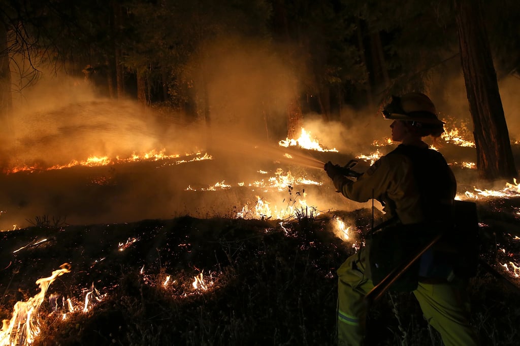 Sacramento Wildfire September 2014 | Pictures