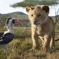 Dora and the Lost City of Gold, Angry Birds 2, and the 3 Other Summer Movies We Can’t Wait to Take Our Kids To