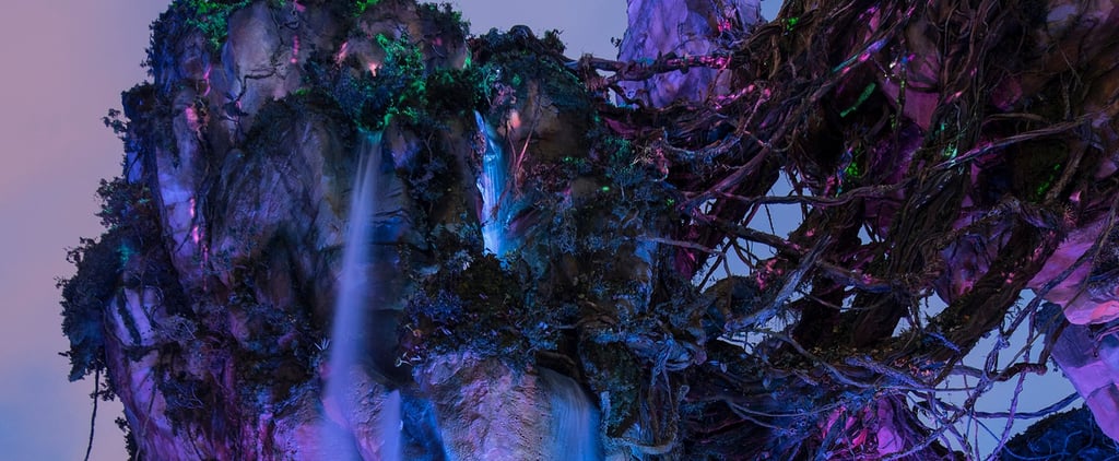 Do Any of the Pandora World of Avatar Rides Make You Sick?