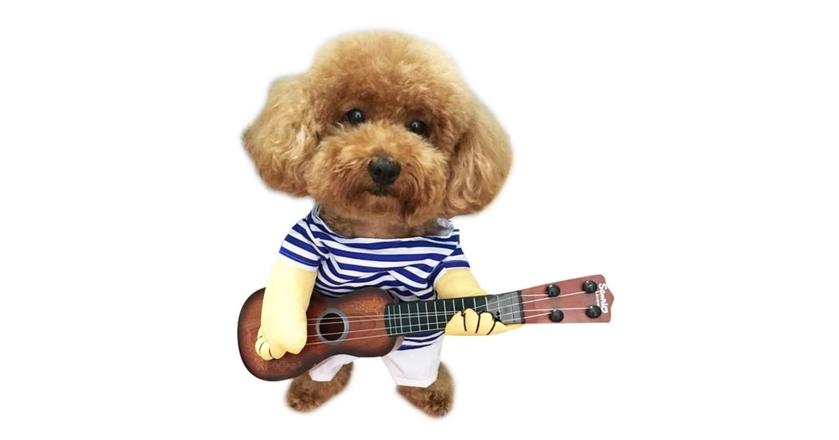 Pet Guitar Costume Dog Costume Best Costumes For Dogs POPSUGAR UK