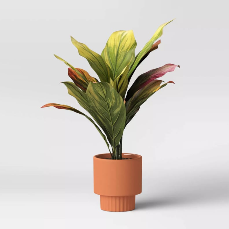 Project 62 Terracotta Planter