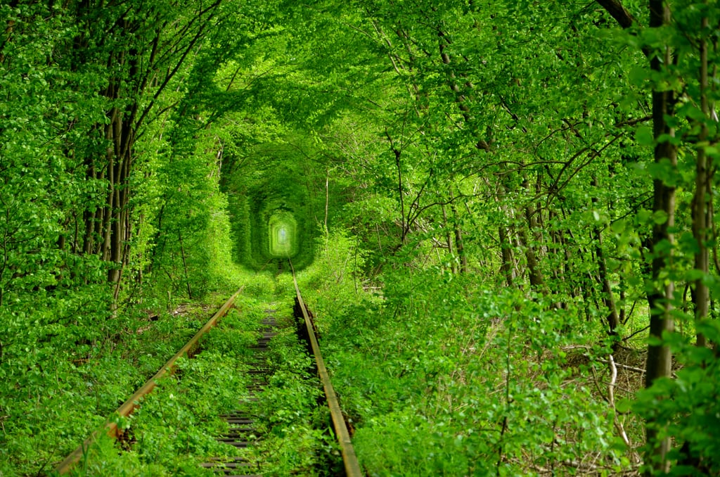 Hold Hands With a Sweetheart to Cross the Tunnel of Love in Ukraine