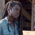 Don't Assume Michonne's a Dead Woman — Here's How Her Story May Continue on The Walking Dead
