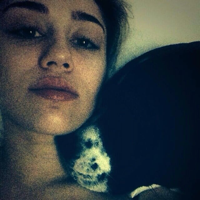 Miley Cyrus snuggled up with one of her pups.
Source: Instagram user mileycyrus