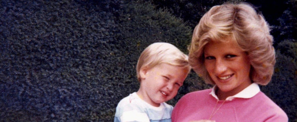 William and Harry Release New Photos With Diana