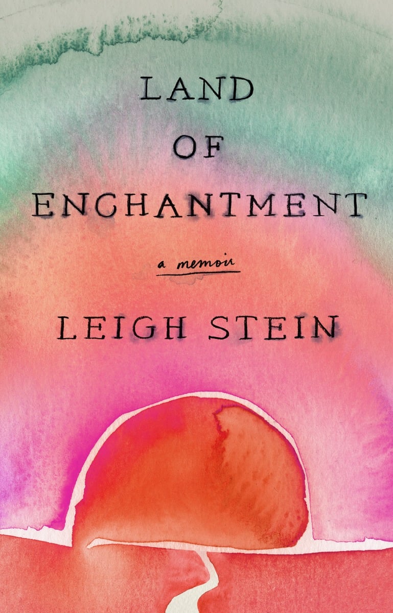 Land of Enchantment by Leigh Stein