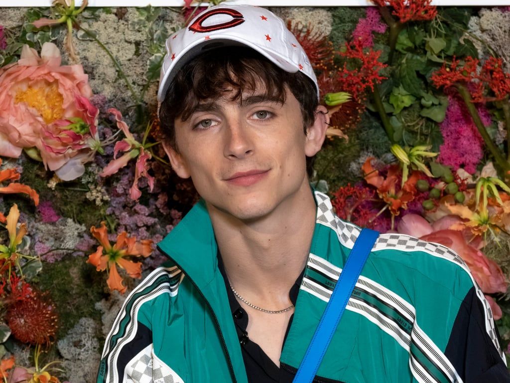 Established sneakerhead Timothée Chalamet just showed off a tropical new pair during the Cannes Film Festival. The day after attending the French Dispatch premiere in a metallic Tom Ford suit, the actor and his double-helix piercing appeared at a Louis Vuitton dinner on July 13. While the foundation of his outfit consisted of a black button-down and black pants, other accessories and accoutrements spoke more loudly. 
Timothée paired his basics with a sporty Louis Vuitton windbreaker from the brand's spring 2022 menswear collection designed by Virgil Abloh. In addition to a blue crossbody bag, several Cartier rings, and, somewhat inexplicably, a Cincinnati Reds baseball hat, the well-dressed star showcased floral-printed satin sneakers by Christian Louboutin. Take a closer look, and shop the fancy footwear, ahead.

    Related:

            
            
                                    
                            

            I&apos;m Still Giggling Over the Sneaky Prank Tilda Swinton Pulled on Timothée Chalamet at Cannes
