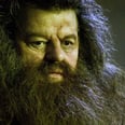 This Harry Potter Theory Suggests Hagrid Is More Powerful Than You Thought