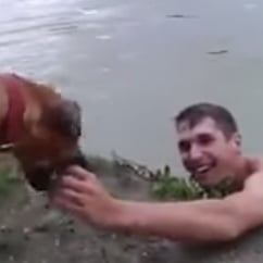 Dog Thinks Owner Is Drowning