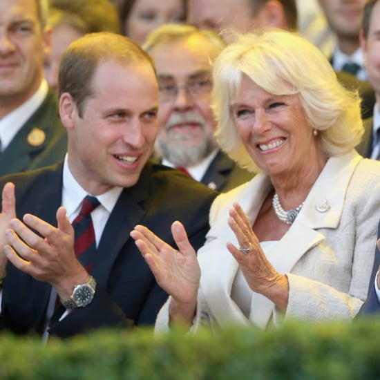 Do Prince William and Prince Harry Get Along With Camilla?