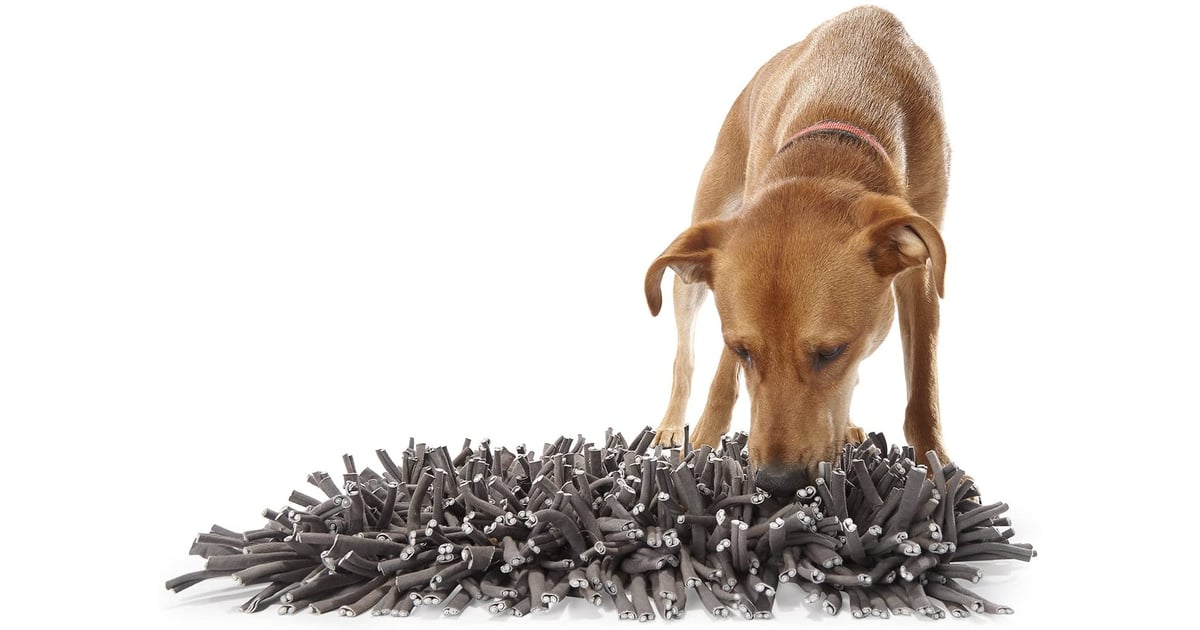 PAW5 Wooly Snuffle Mat Feeding Mat for Dogs (12" x 18") The 15