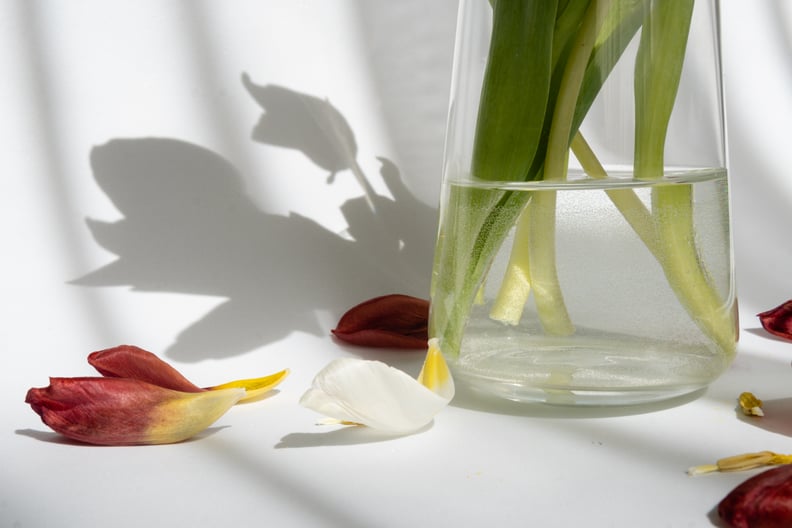 fallen flower petals