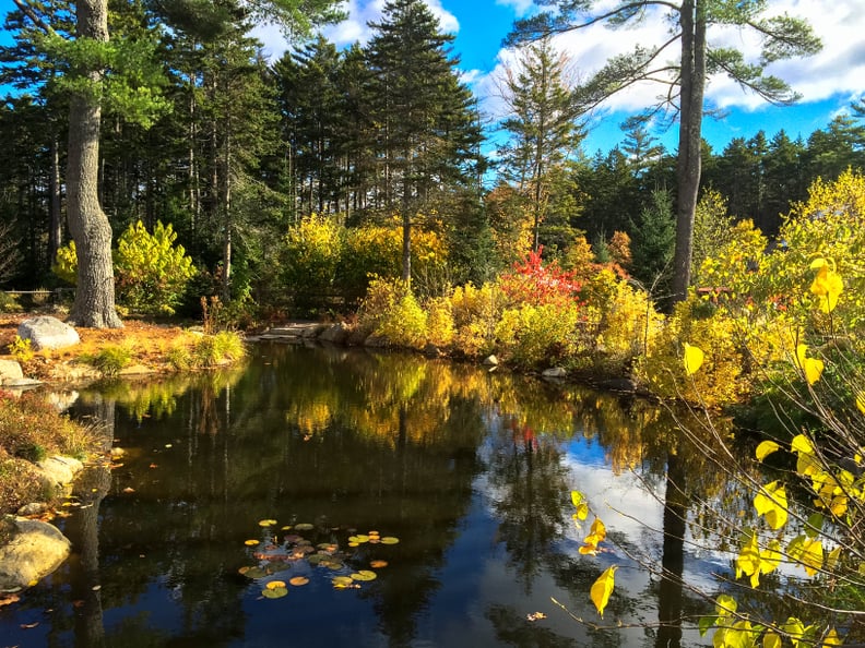 Marvel at the peace and quiet of the Coastal Maine Botanical Gardens.