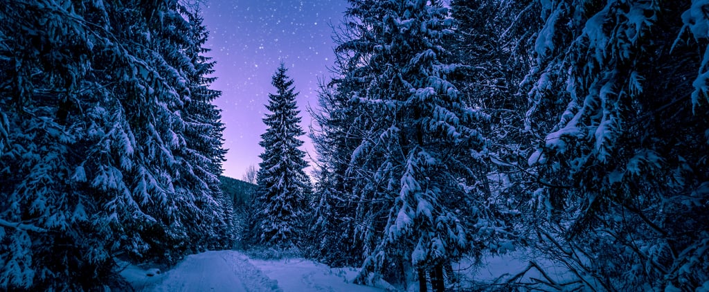 15+ Beautiful Photos of Winter