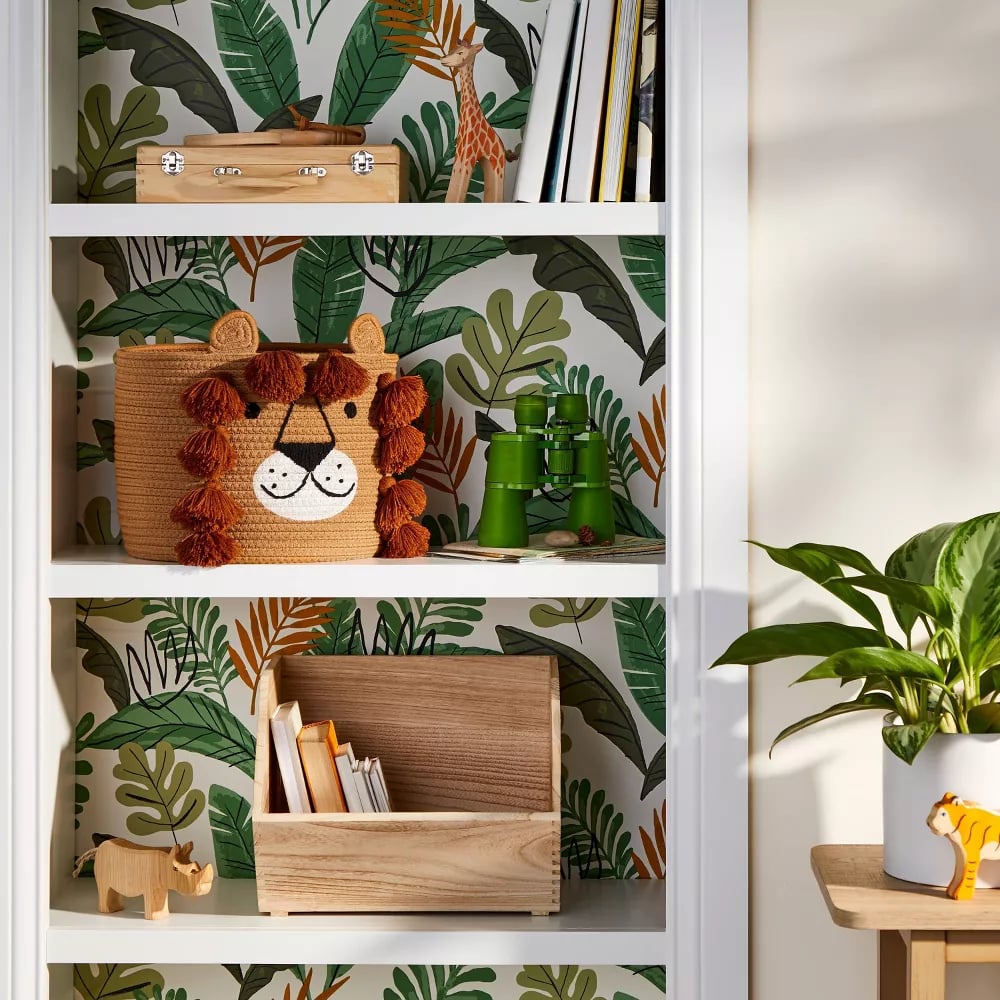 Best Stackable Organizer
