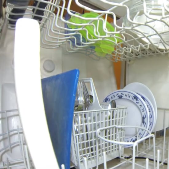 Inside of Dishwasher Video