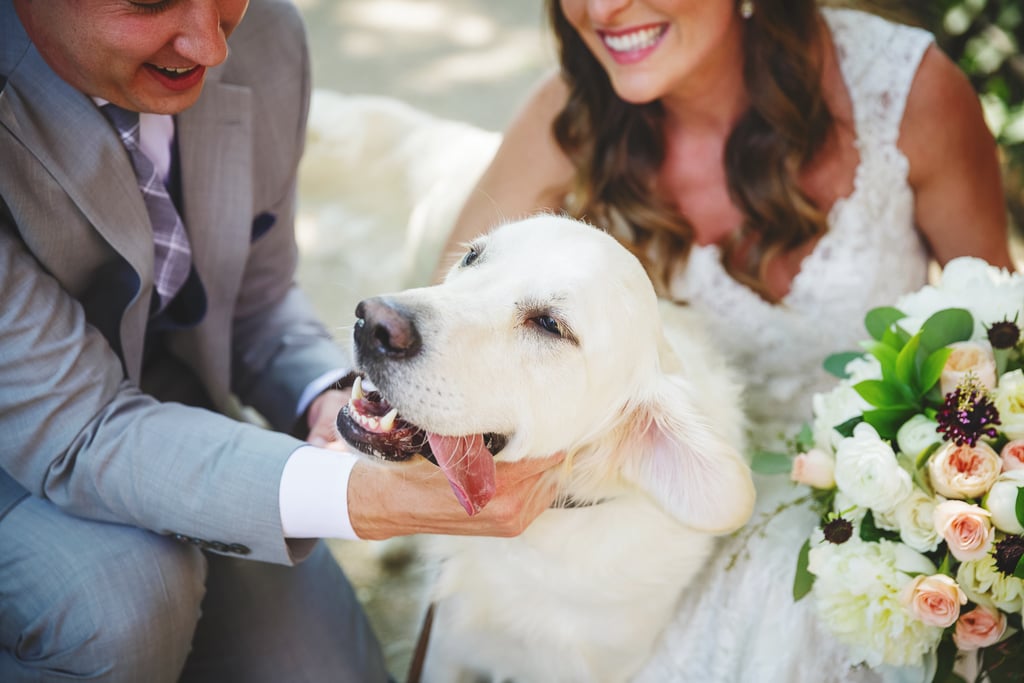 Dogs in Weddings