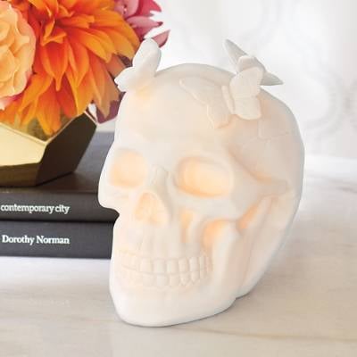 Pre-Lit Butterfly Skull