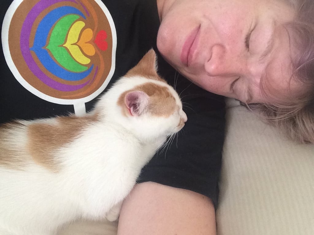 Life Lessons I Learned From My Cat