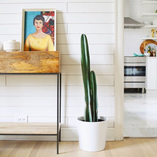 How to Decorate With Shiplap