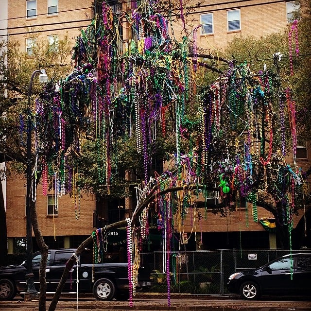 Meanwhile, the trees were decorated like it's Christmas.