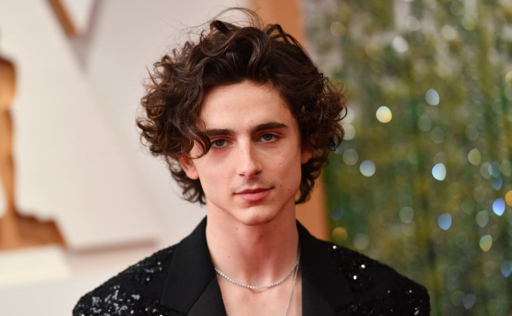 Timothée Chalamet's Shirtless in Louis Vuitton at the Oscars