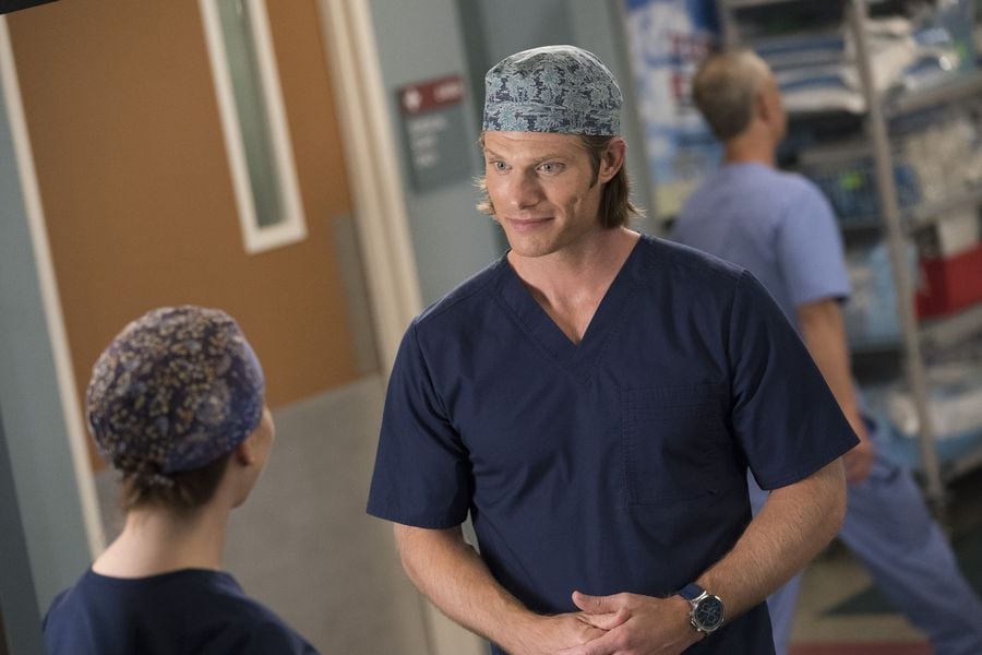 Will Meredith Hook Up With Dr. Link On Grey'S Anatomy? | Popsugar  Entertainment