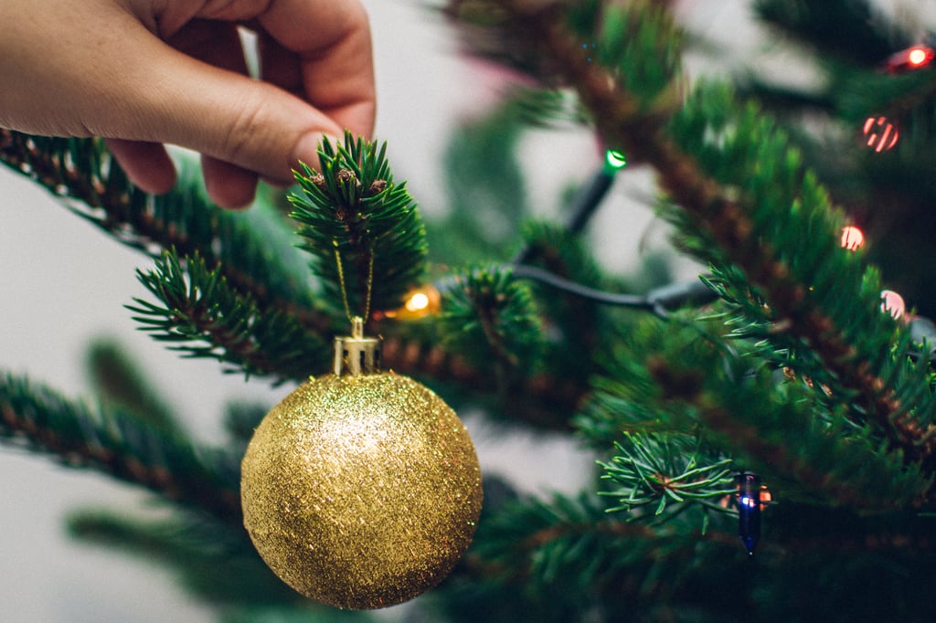 How to Keep a Christmas Tree Alive POPSUGAR Home