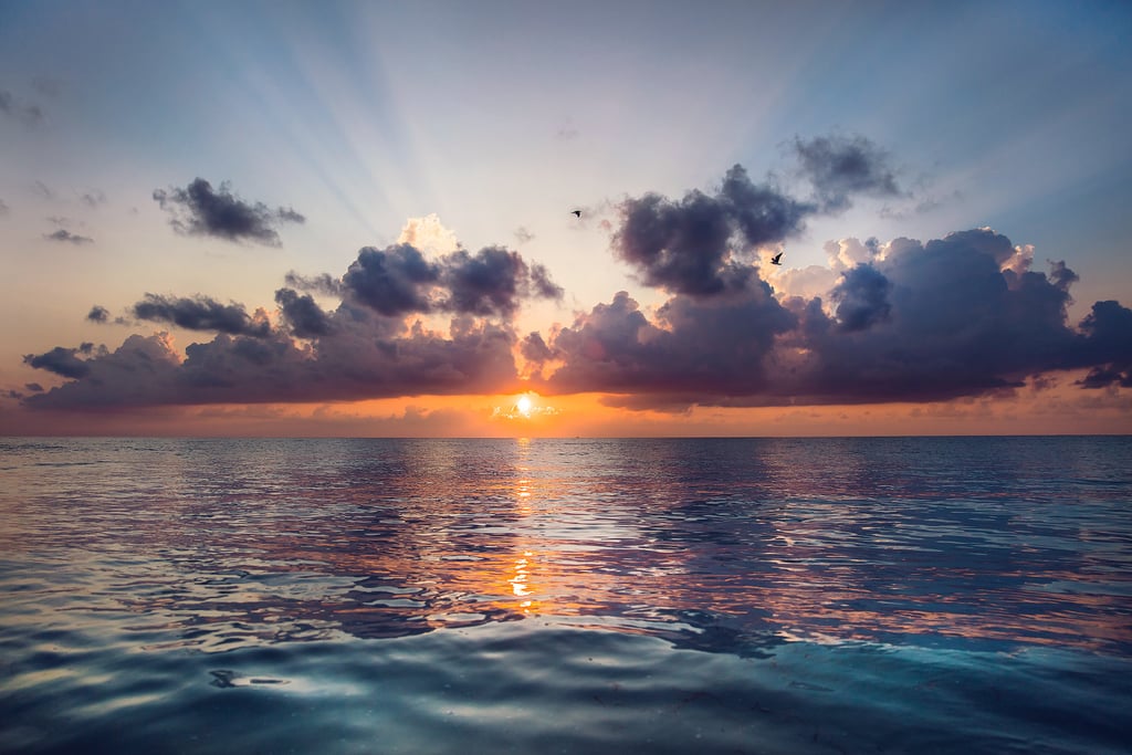 Ocean Sunset Zoom Background