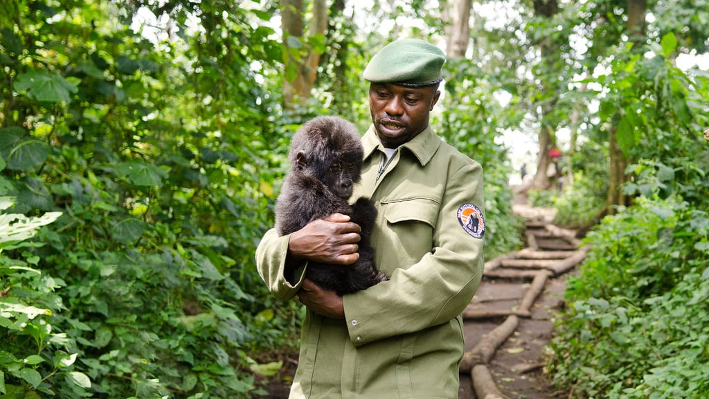 Virunga