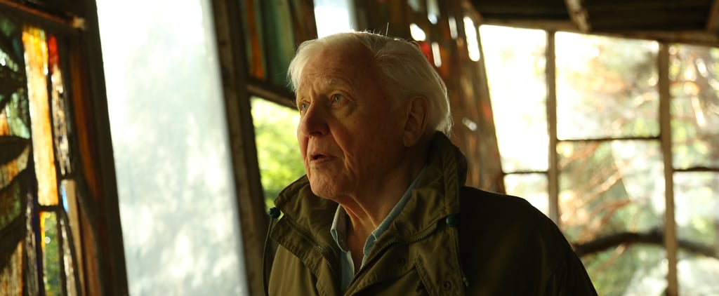 David Attenborough's Best Advice For Sustainable Living