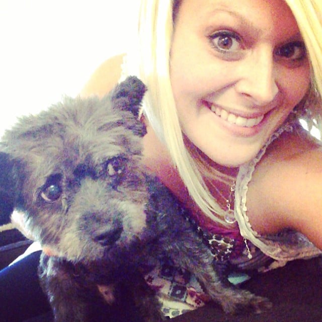 Dying Dog Is Adopted