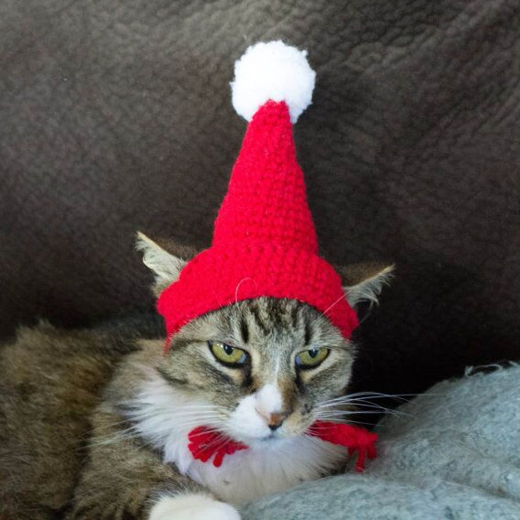 Soft Handmade Crochet Knitted Cat Bonnet Hat