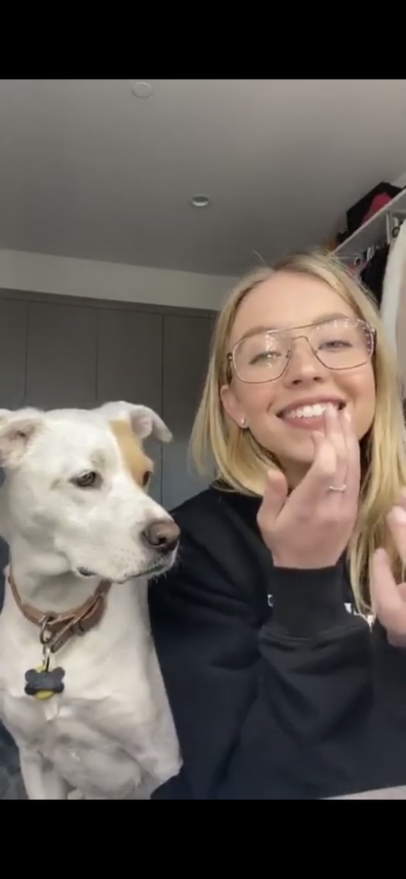 Sydney and Tank Hop on a Video Chat Together