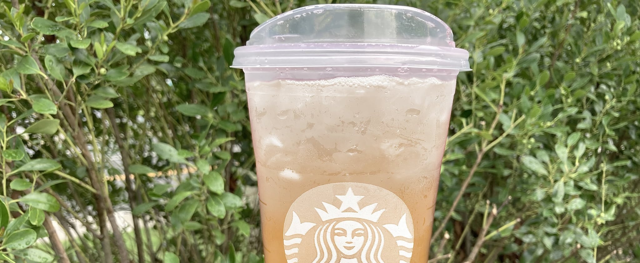This Rose Gold Refresher From Starbucks Will Have You Feeling Fancy