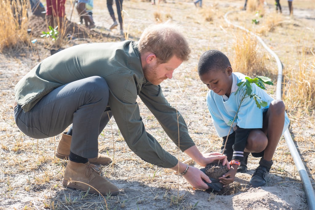 Photos of Meghan Markle and Prince Harry's South Africa Tour