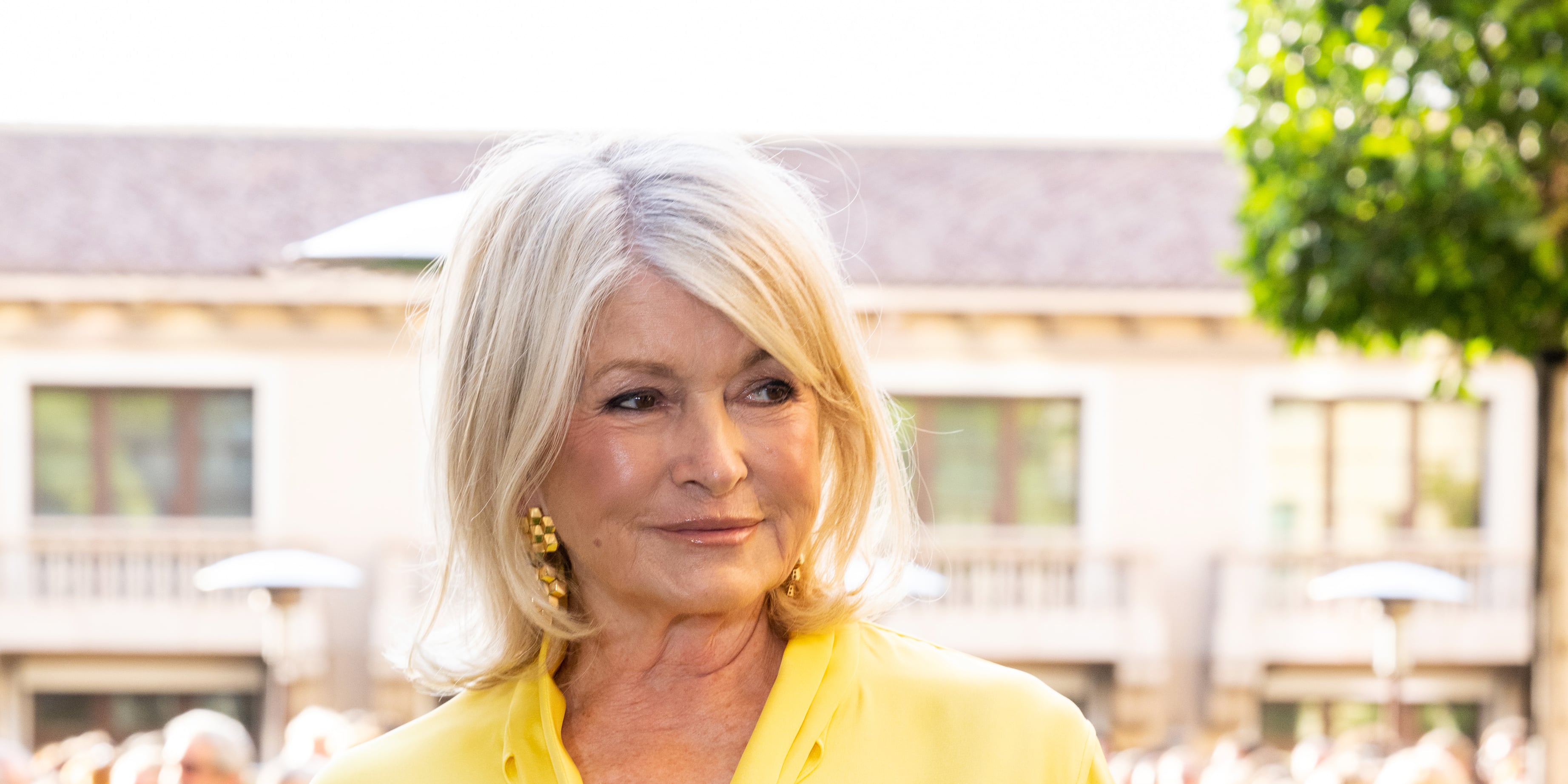 Um, Martha Stewart Is Absolutely Slaying This "Pam Anderson Updo"