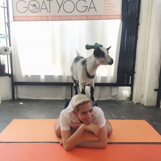 What Is Goat Yoga Like?