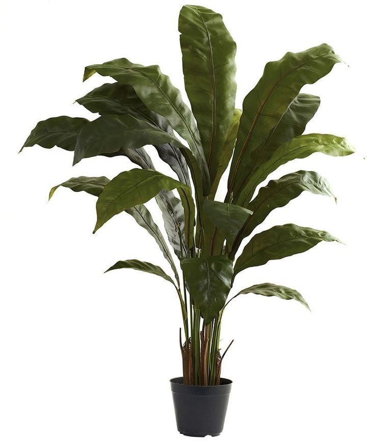 Nearly natural 3 1/2-ft. Potted Bird's Nest Plant ($80)